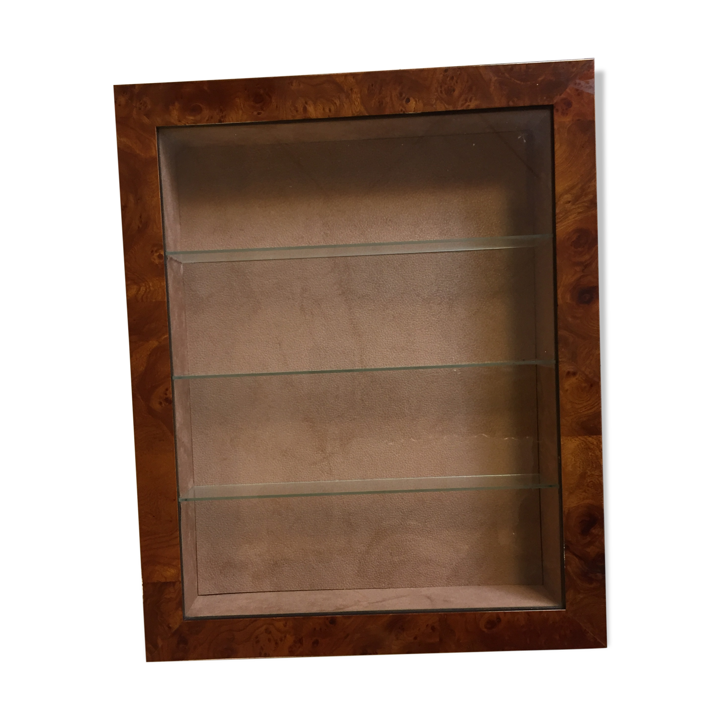 Vitrine en loupe & autruche