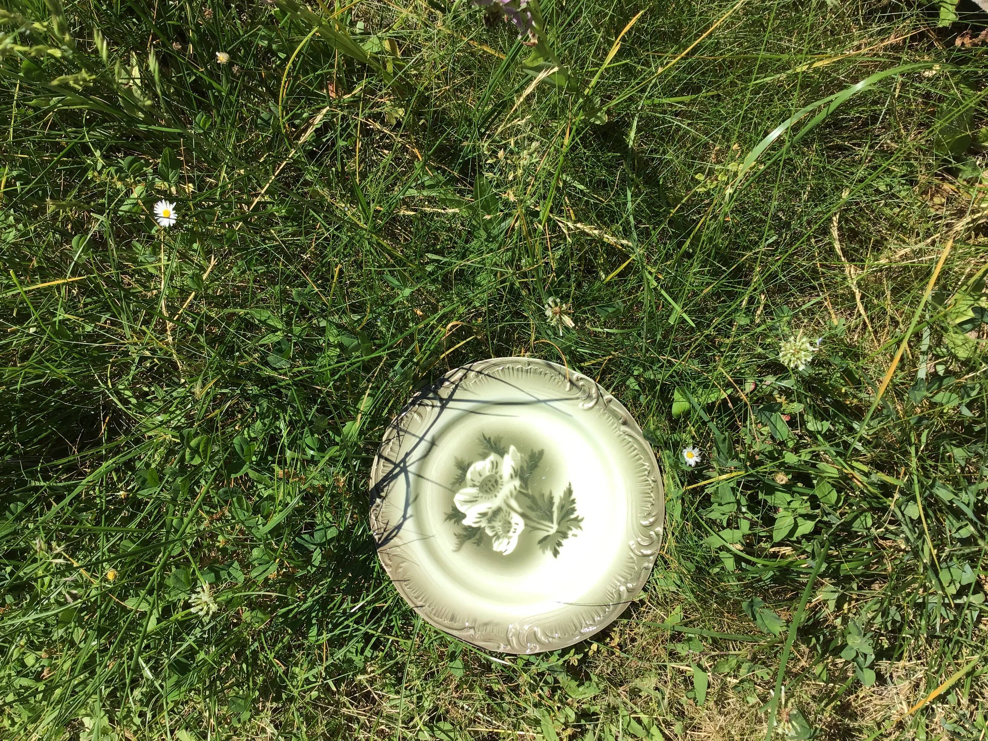 6 Gien dessert anemones opaque porcelain porcelain