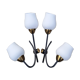 Pair of double brass, steel and opaline wall lamps, vintage, 50s