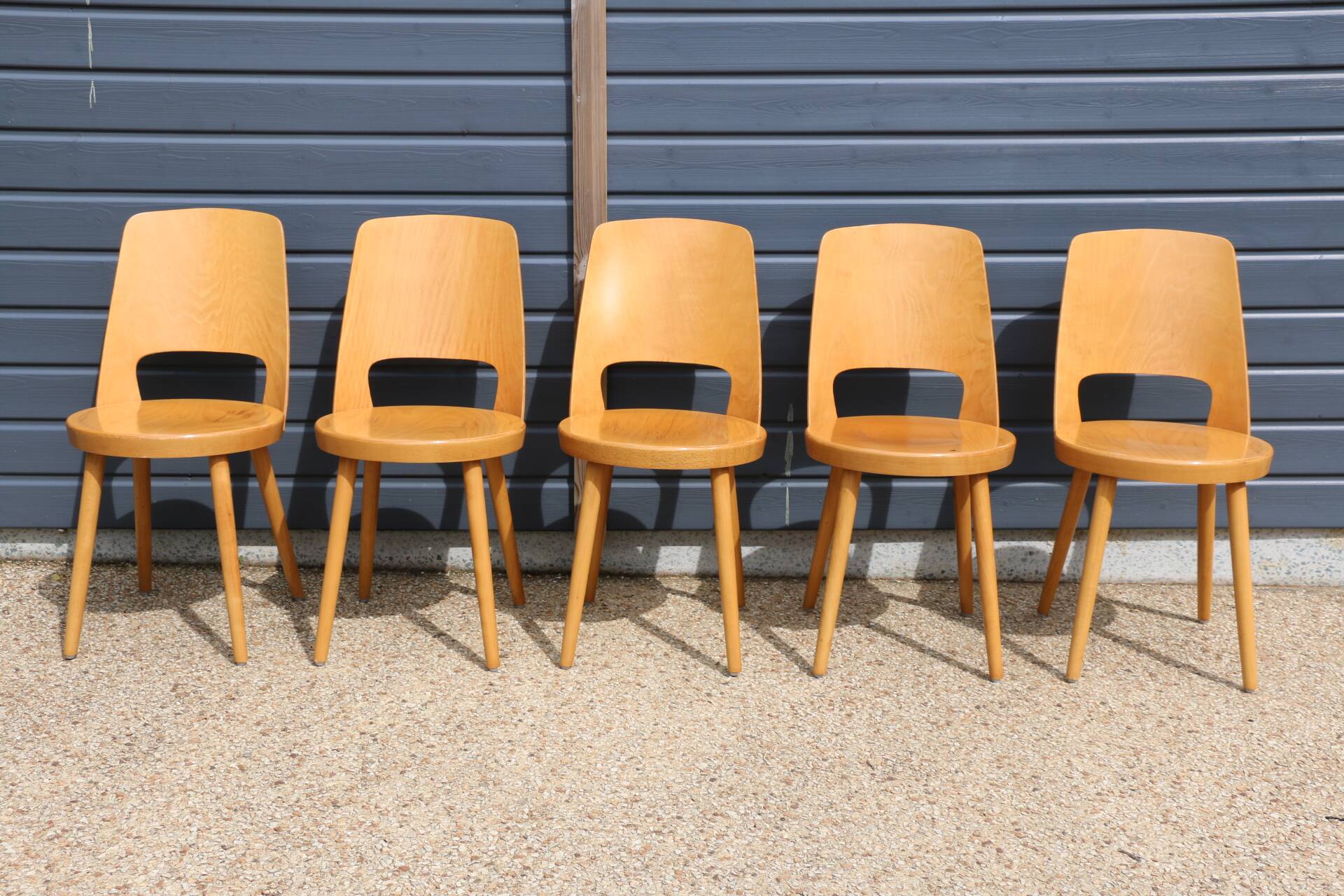 5 BAUMANN “MONDOR” light beech chairs