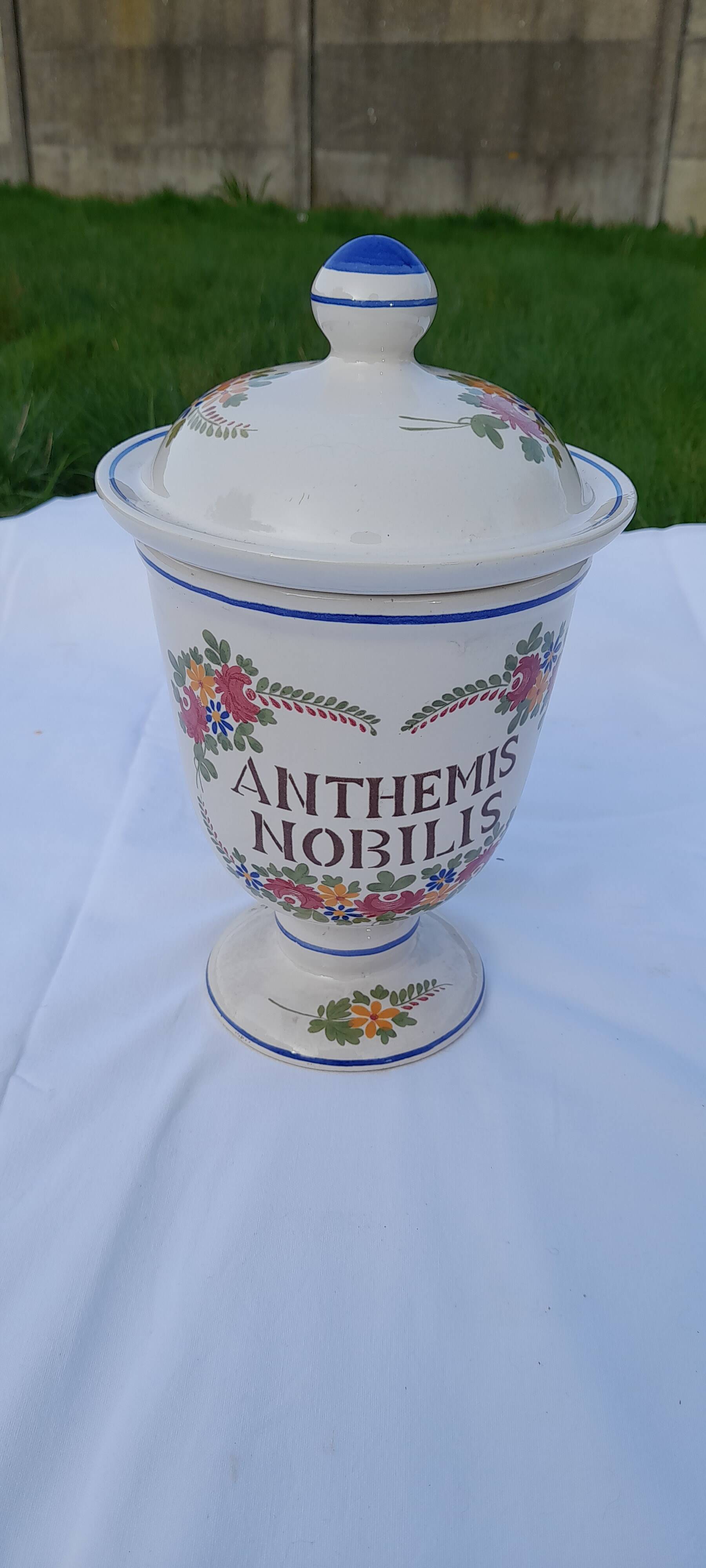 Anthemis nobilis pharmacy apothecary pot in earthenware from Saint Clément PDH