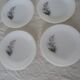 6 plates daisies flowers dessert arcopal 15992