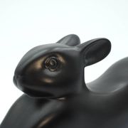 Lapin
