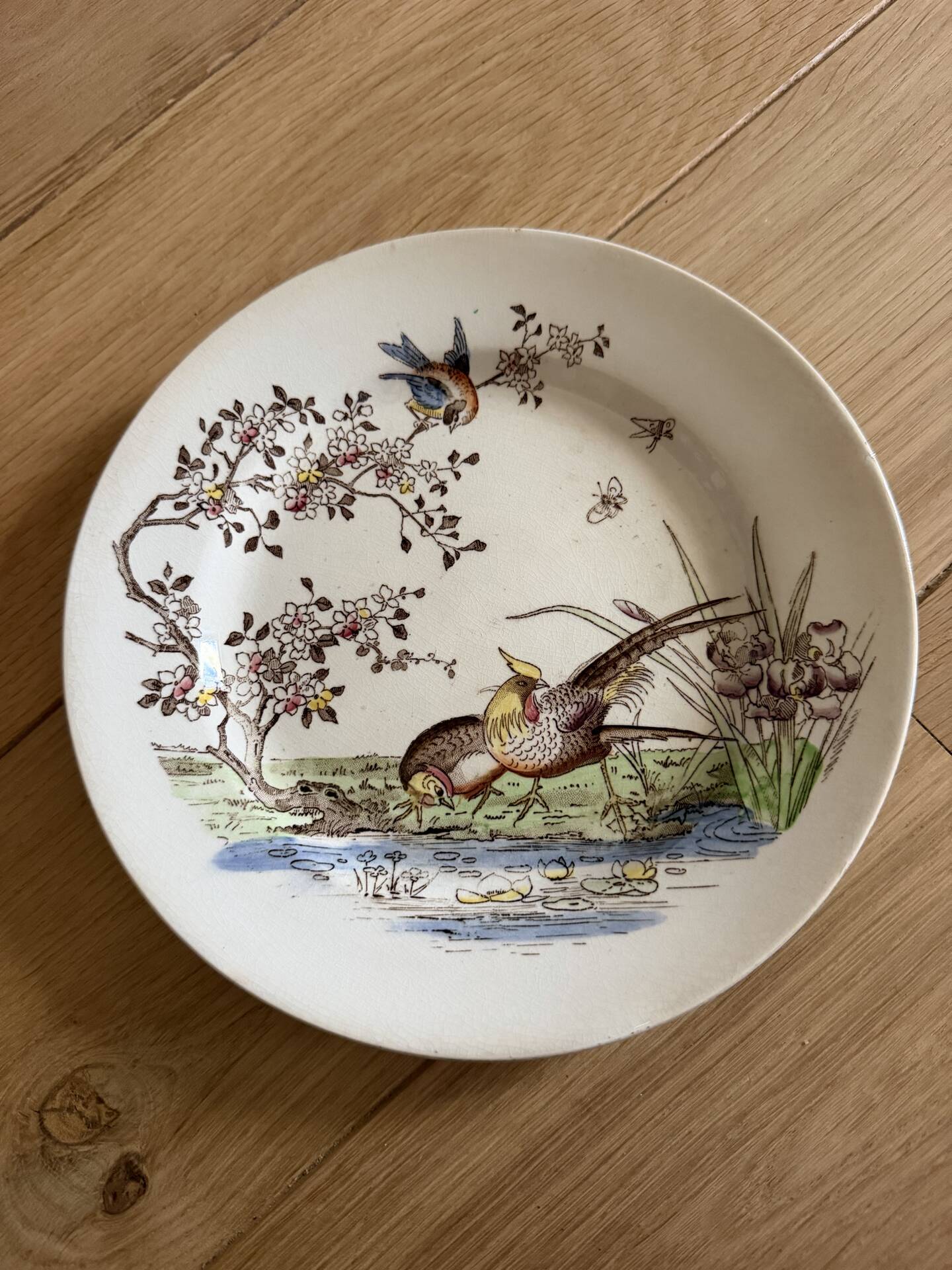 Polychrome ironstone dessert plates from Digoin and Sarreguemines.