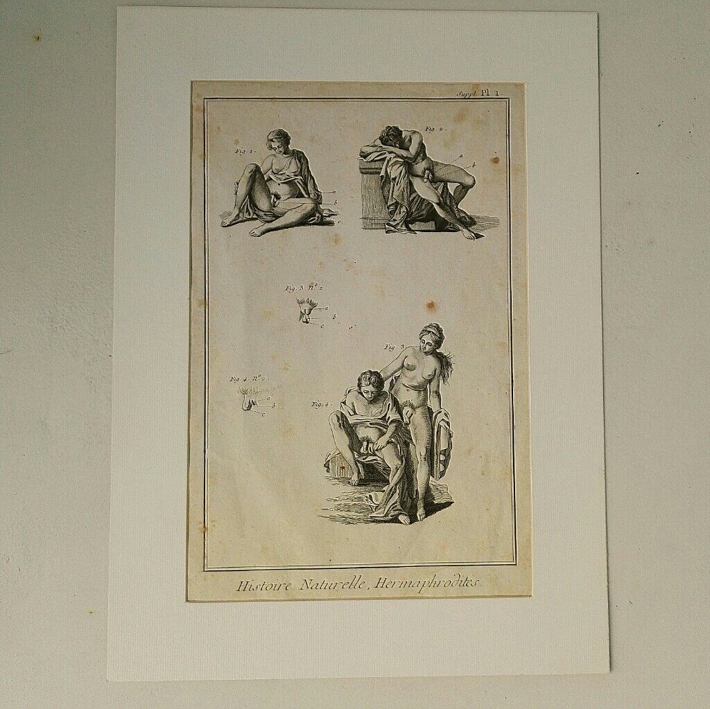 Engravings EIGHTEENth hermaphrodites Diderot cabinet curiosity