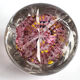 Cut crystal paperweight sulphide