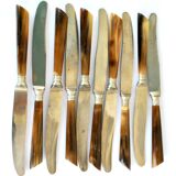 Set of 10 old knives in horn and steel 1920 dessert fruit