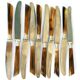Set of 10 old knives in horn and steel 1920 dessert fruit