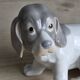 Small spaniel dog in porcelain