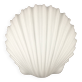 Large Minimalist Opaline Glass Shell-Shaped Wall Light from Limburg, Germany, 1970s