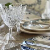 9 mismatched blue ironstone plates