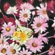 Vintage flower painting, original frame
