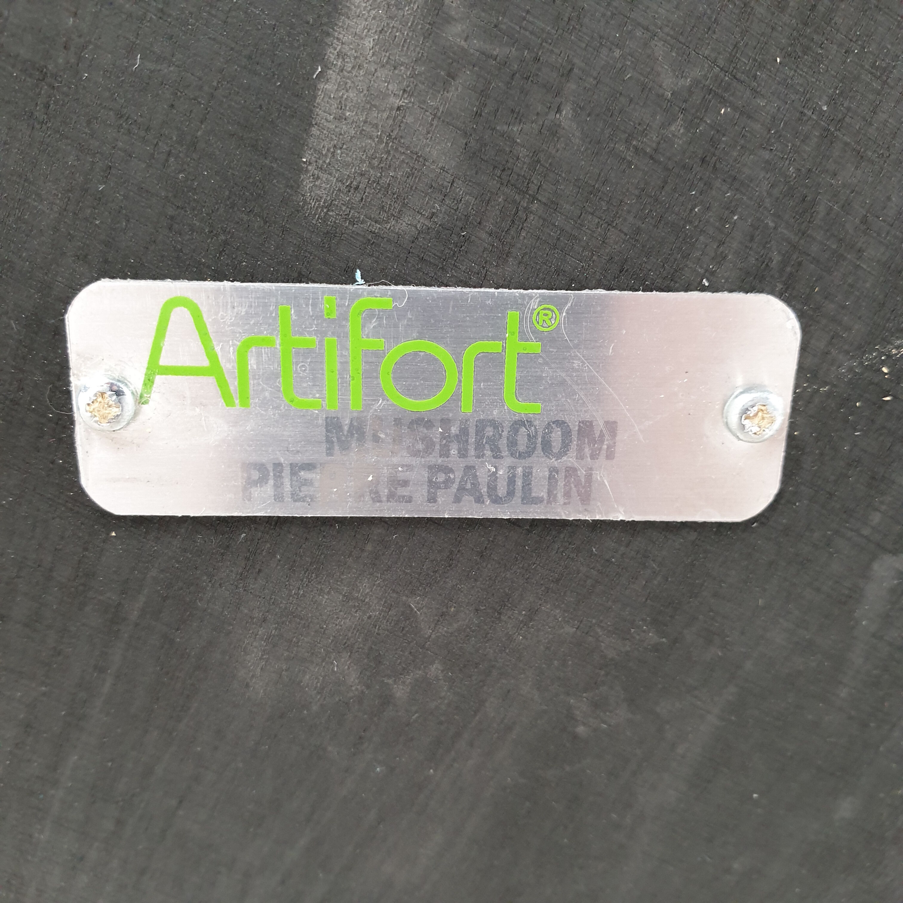 Mushroom armchair by Pierre Paulin for Artifort