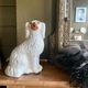 Pair of ceramic Staffordshire dogs late 19th century
