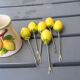 Citrons en barbotine dans coupelle