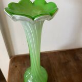 Green and white soliflore