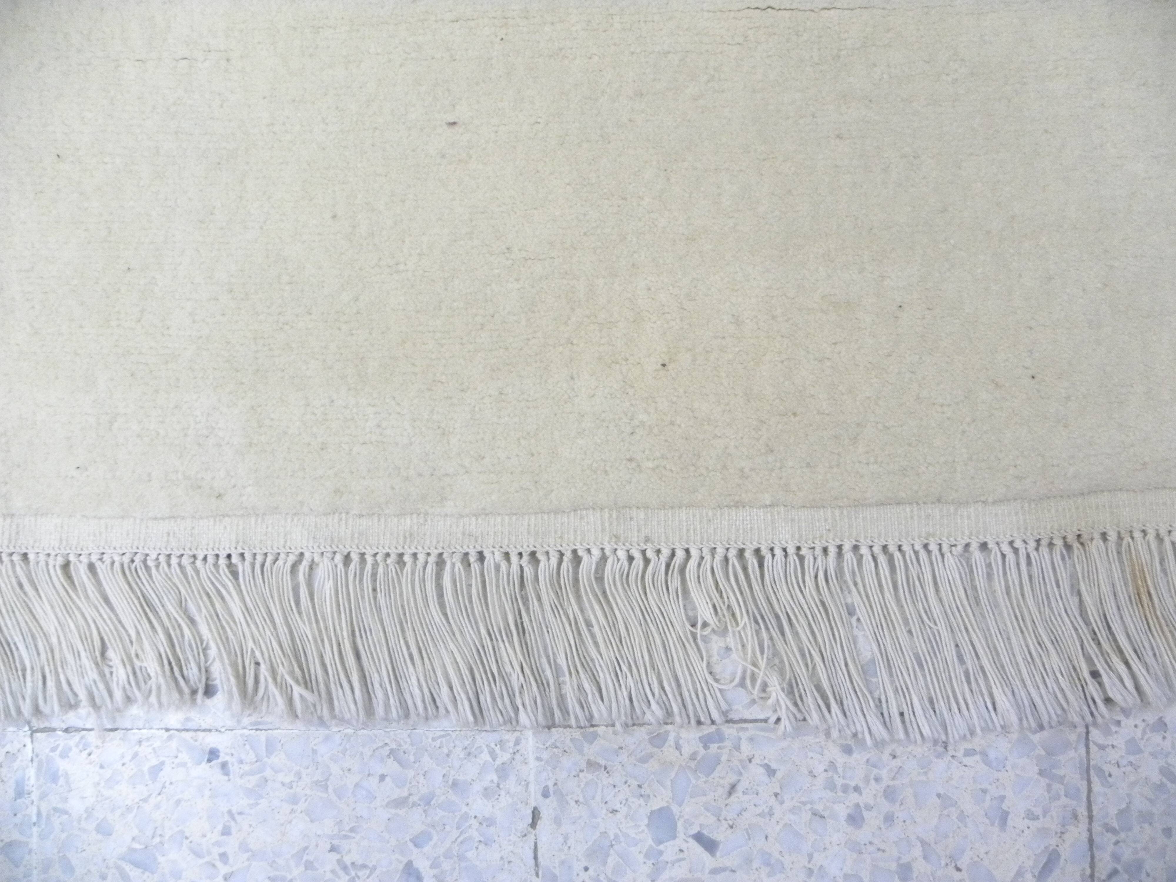 Authentic Beige Berber Rug Minimalist Style Clean Design