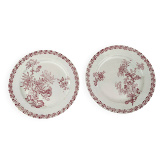 Set of 2 flat plates from the early 20th century, Sarreguemines, Mulhouse model