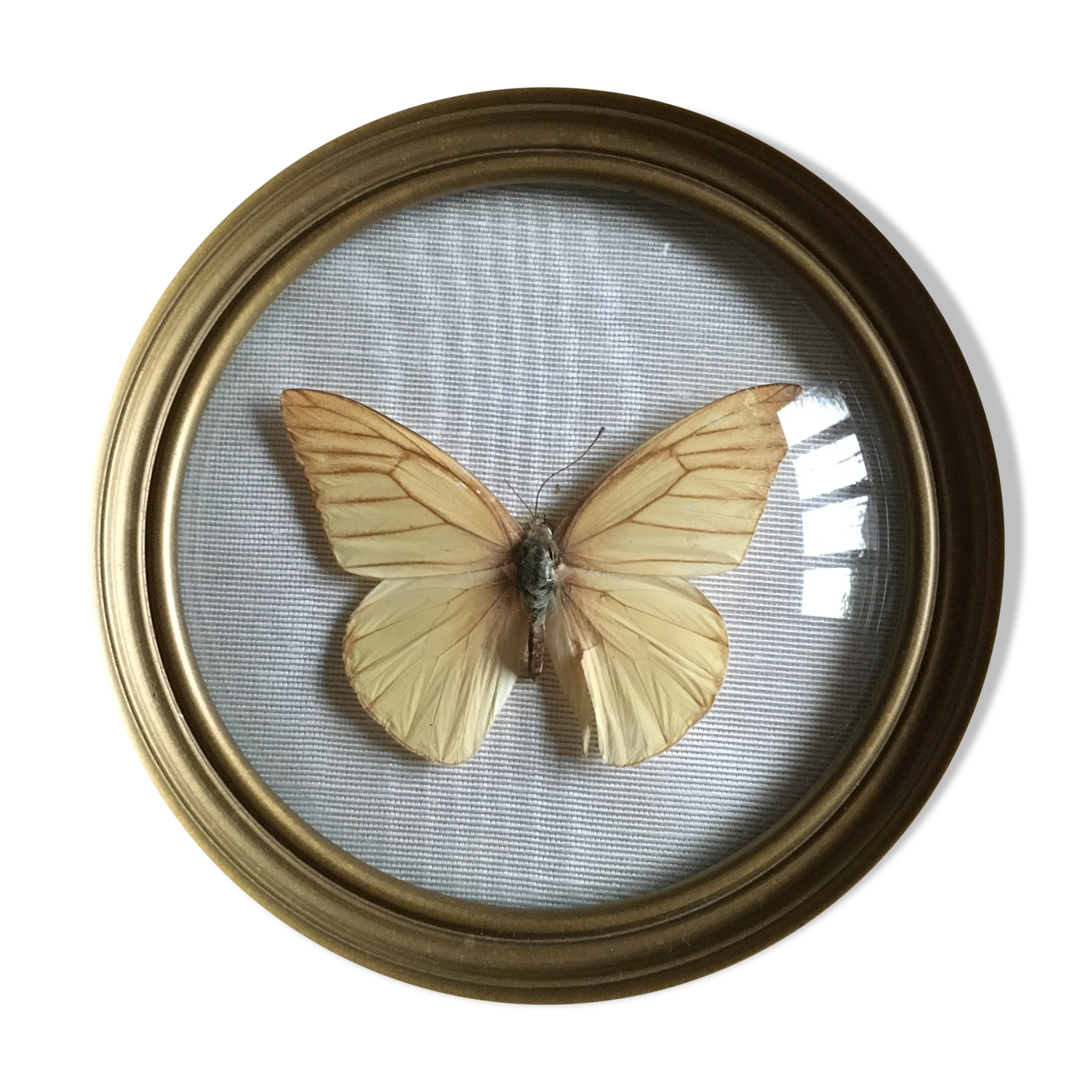 Butterfly frame