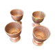 4 copper cockroaches