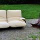 Michel Ducaroy Ligne Roset Marsala model designer sofa and 1970s armchair shell
