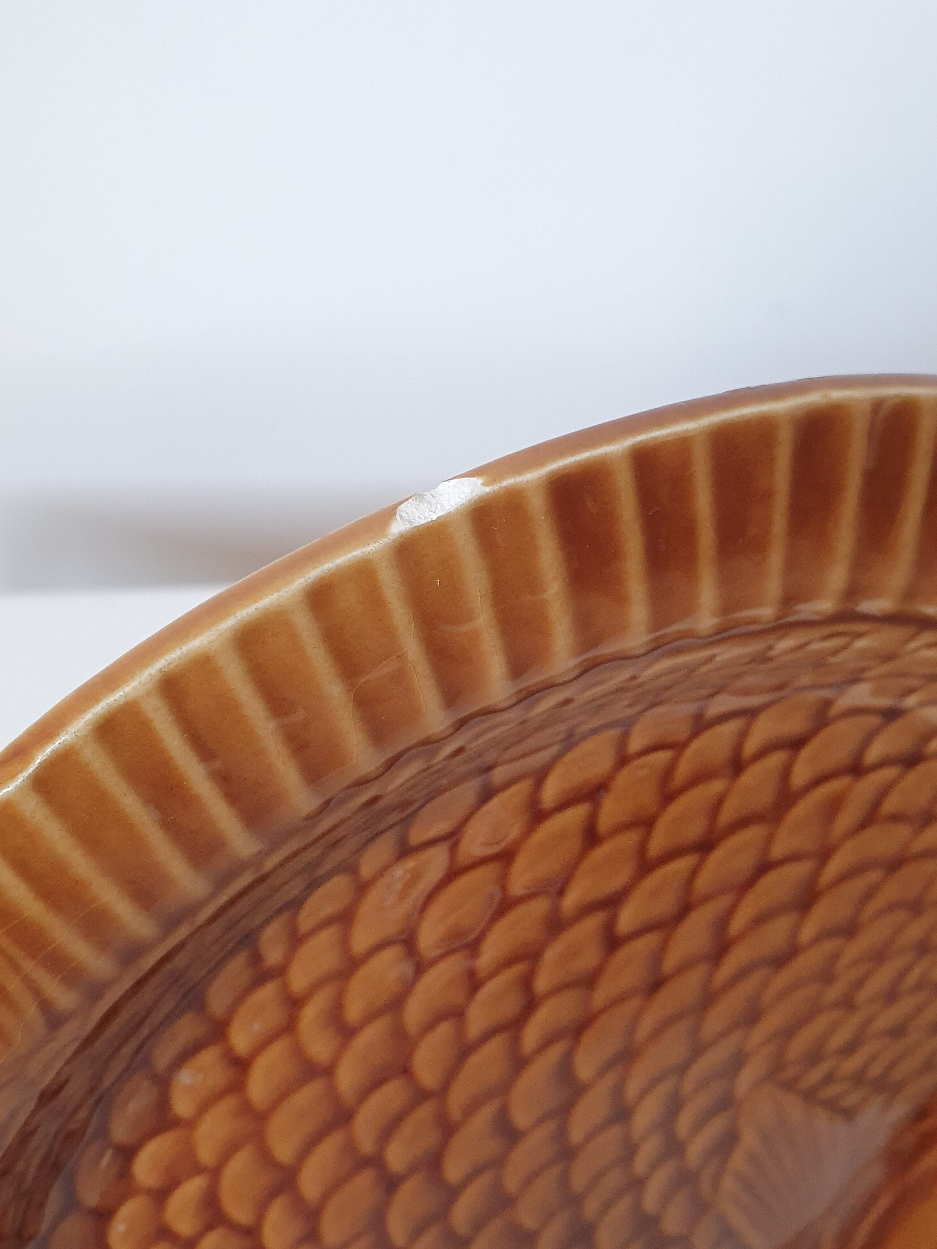 Plates slurry fish Sarreguemines