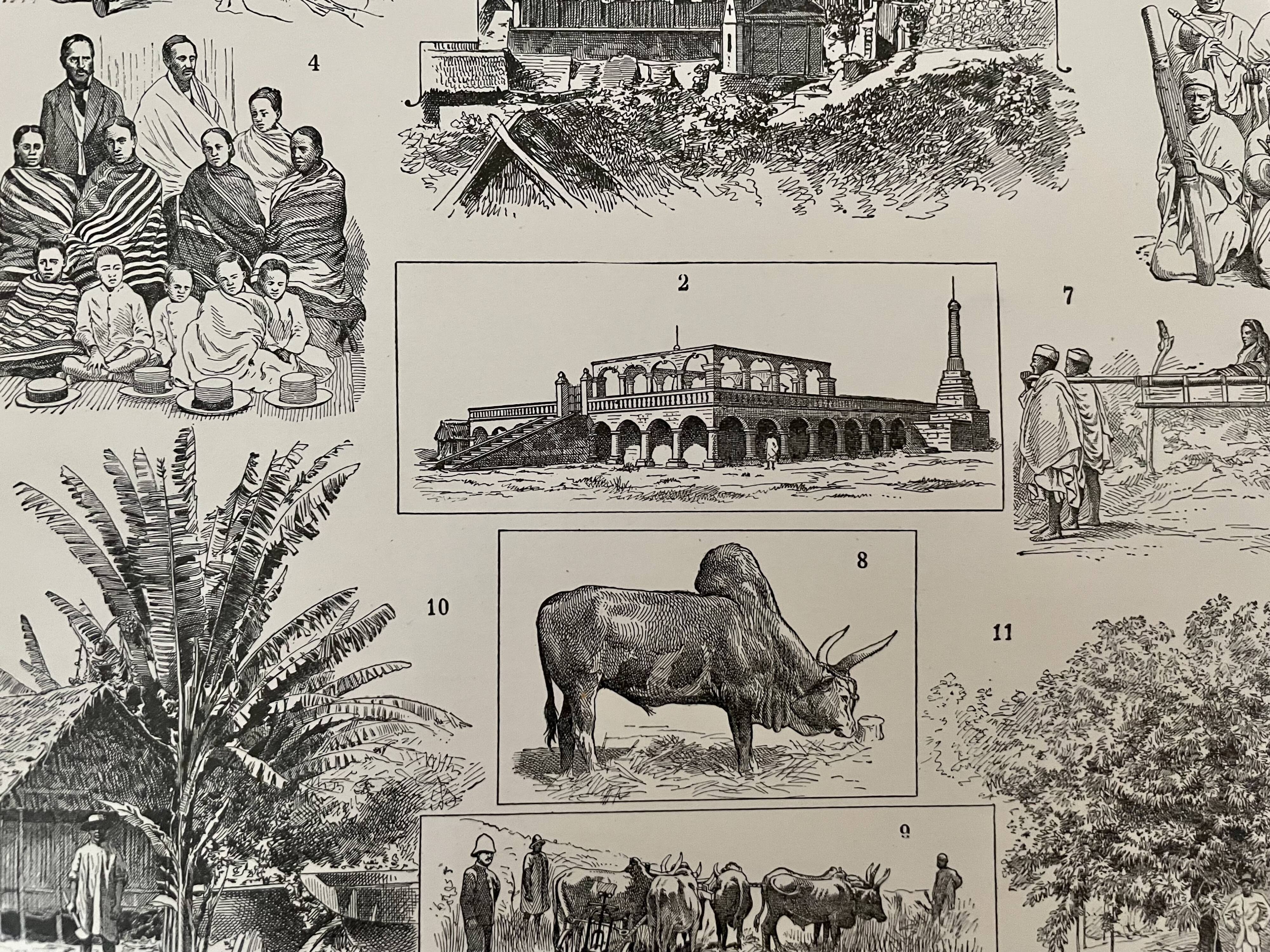 Lithograph and map on Madagascar from 1897