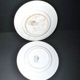Set of 2 ART NOUVEAU flat plates in Sarreguemines Maple earthenware 1900