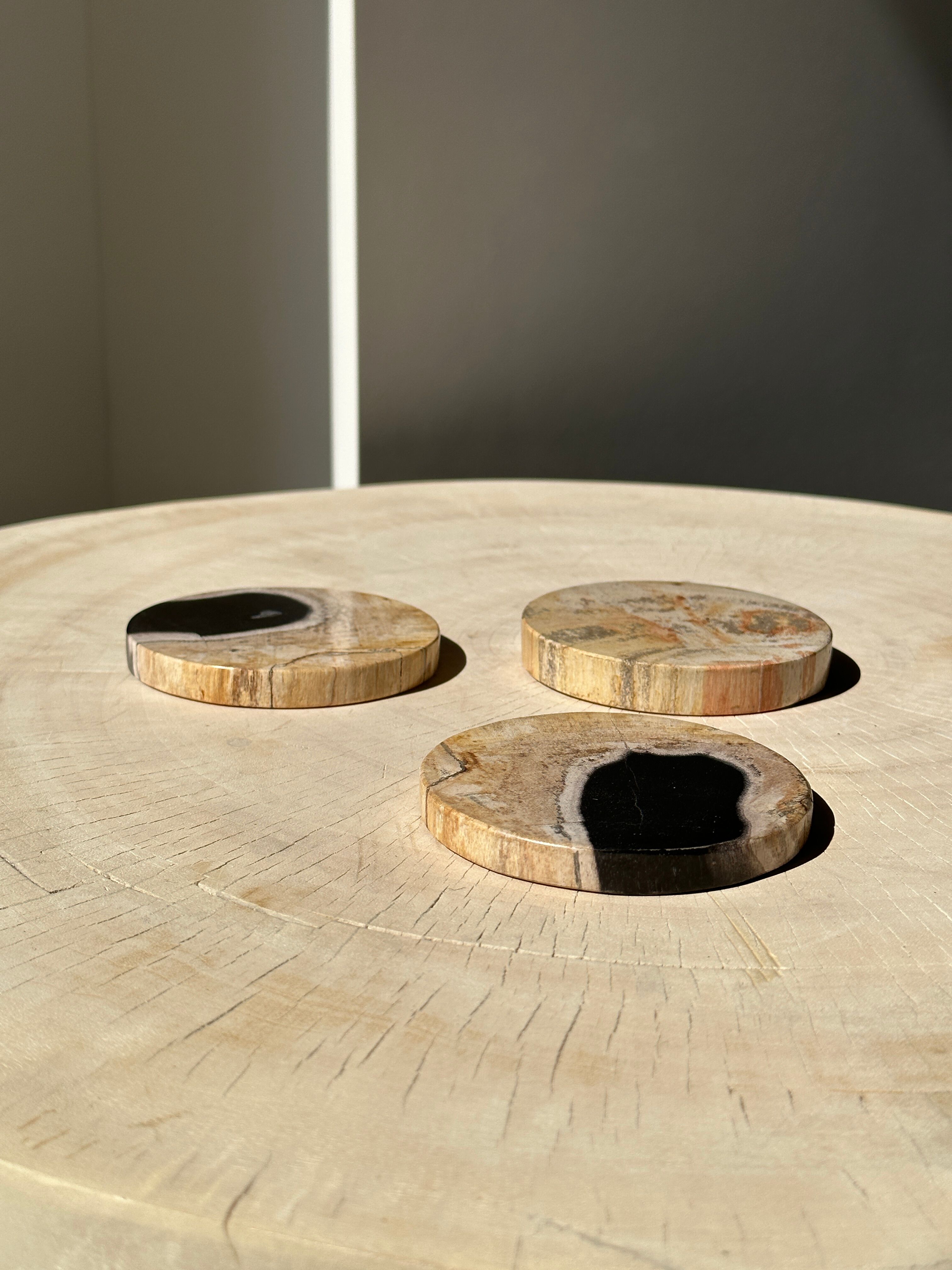 Set of 3 fossilized wooden coasters (clear)
