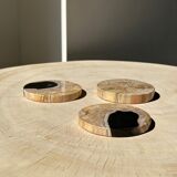 Set of 3 fossilized wooden coasters (clear)