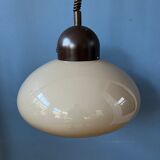 Mushroom suspension by Dijkstra