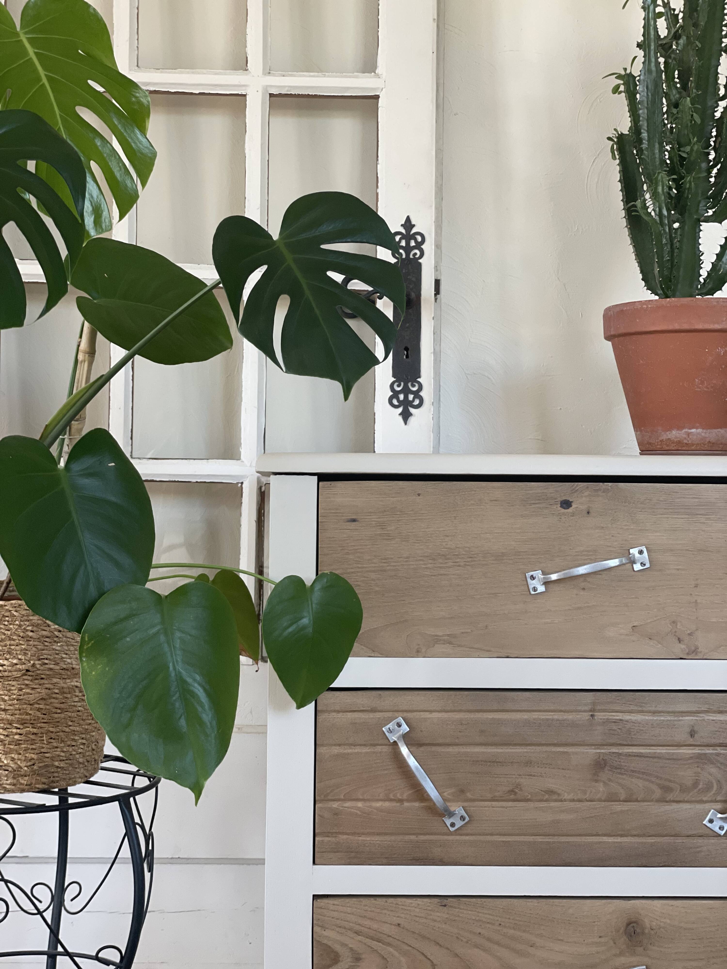 Eugenie chest of drawers