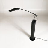 "Dove" reading floor lamp, Mario Barbaglia and Marco Colombo for PAF STUDIO, C.1980