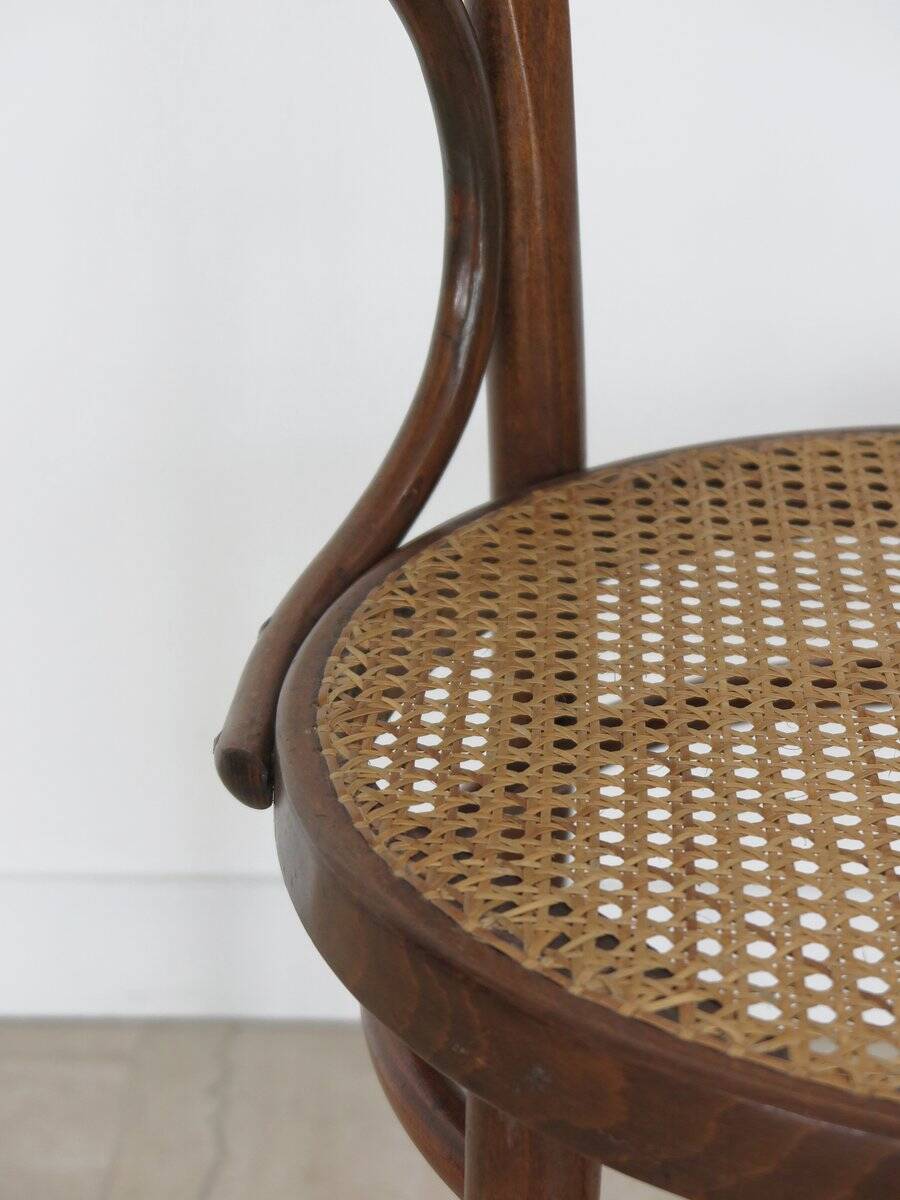 Vintage Chairs by Michael Thonet for Thonet, 1930s, Set of 6