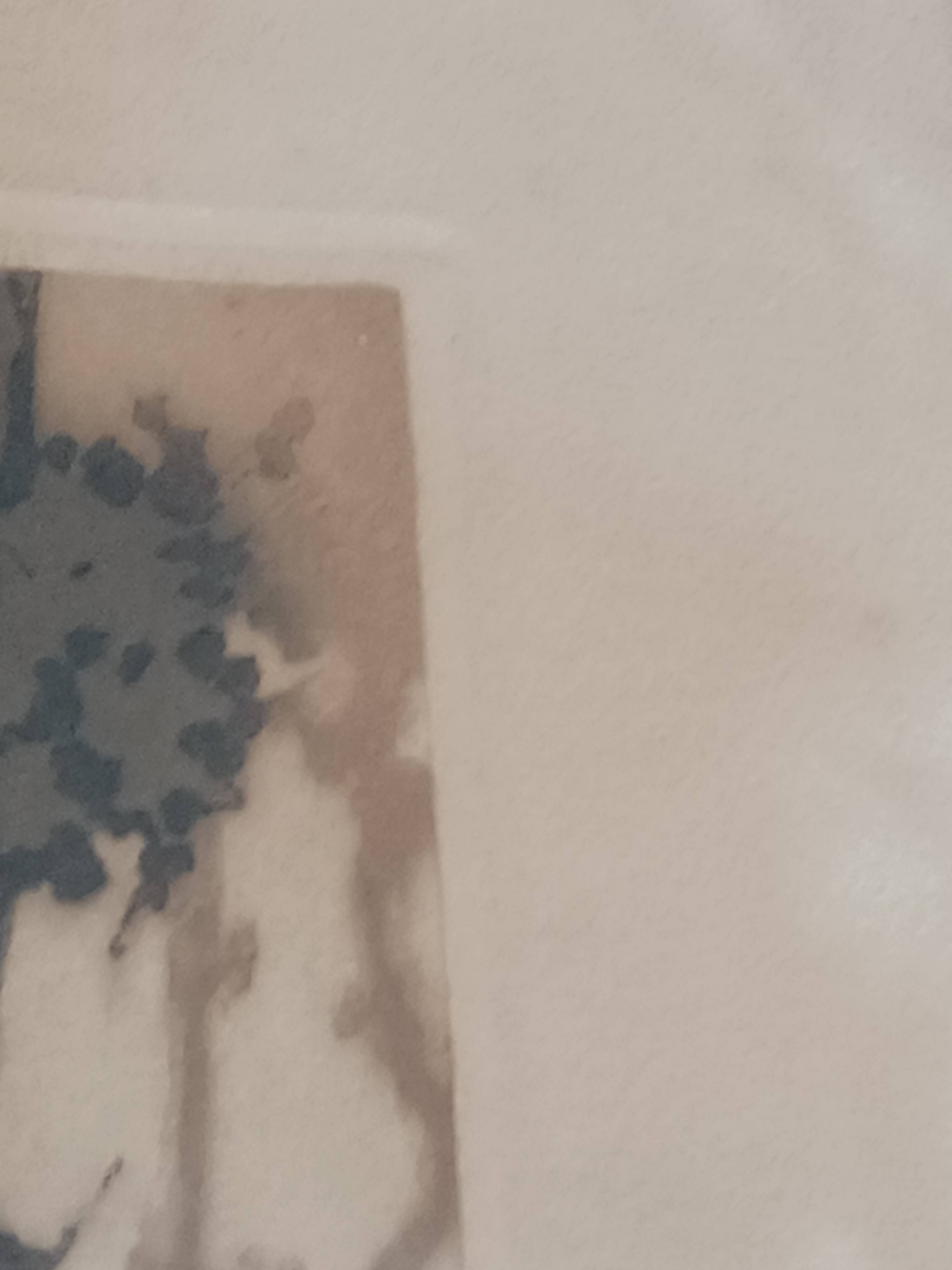 Roger hebbelinck landscape original lithograph signed and numbered 11/350