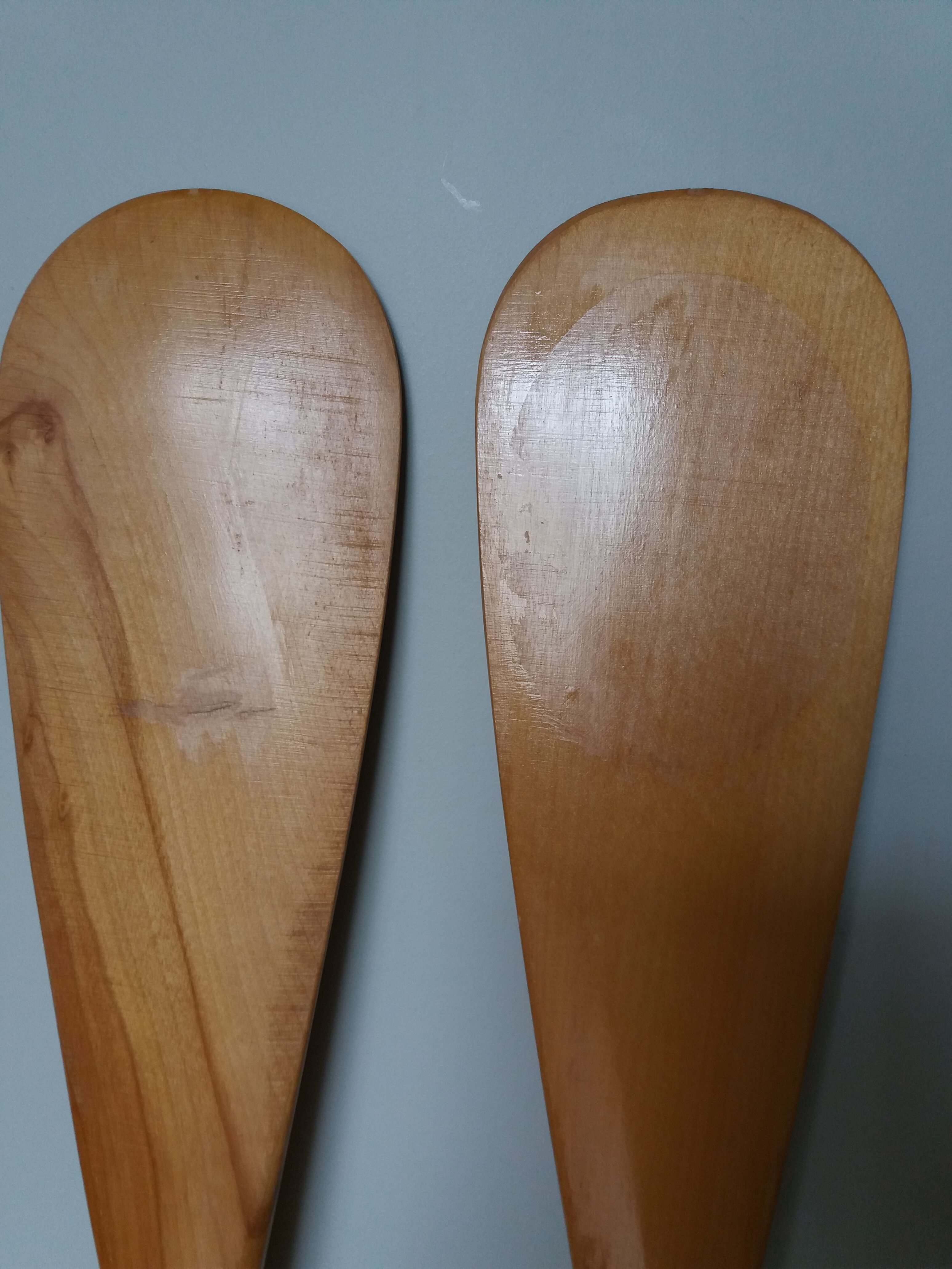 Paddles Native American rows