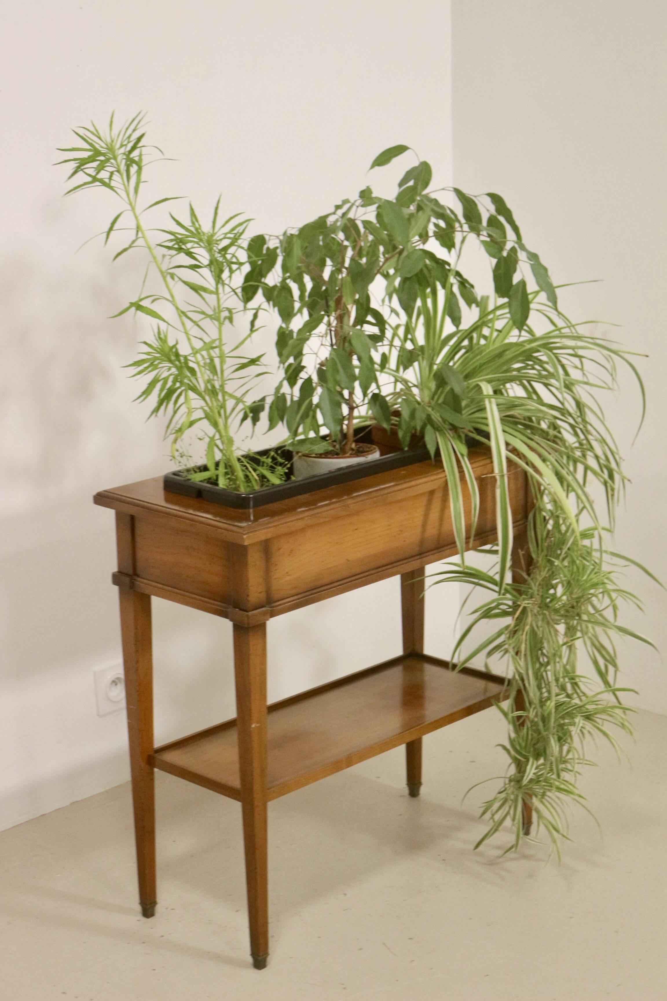 Indoor wooden planter. Ref blanchette
