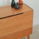 Storage chest with cover / mini bar by Landsman / Nepozitek 1960