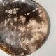 Dish in petrified wood
