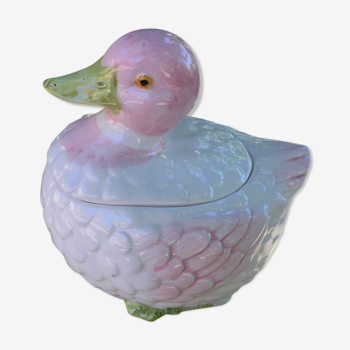 Duck in white and pink dabbling