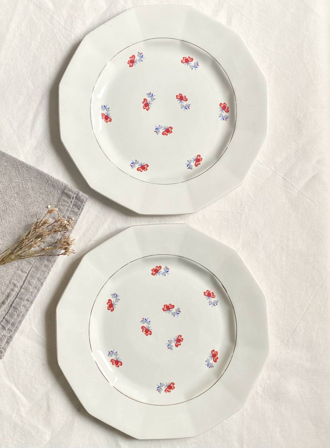 Dinner plates