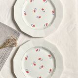 Assiettes plates