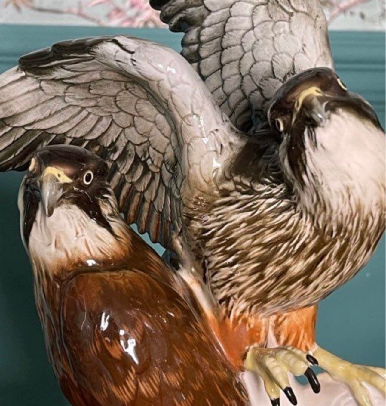 Birds couple of falcons Karl Ens