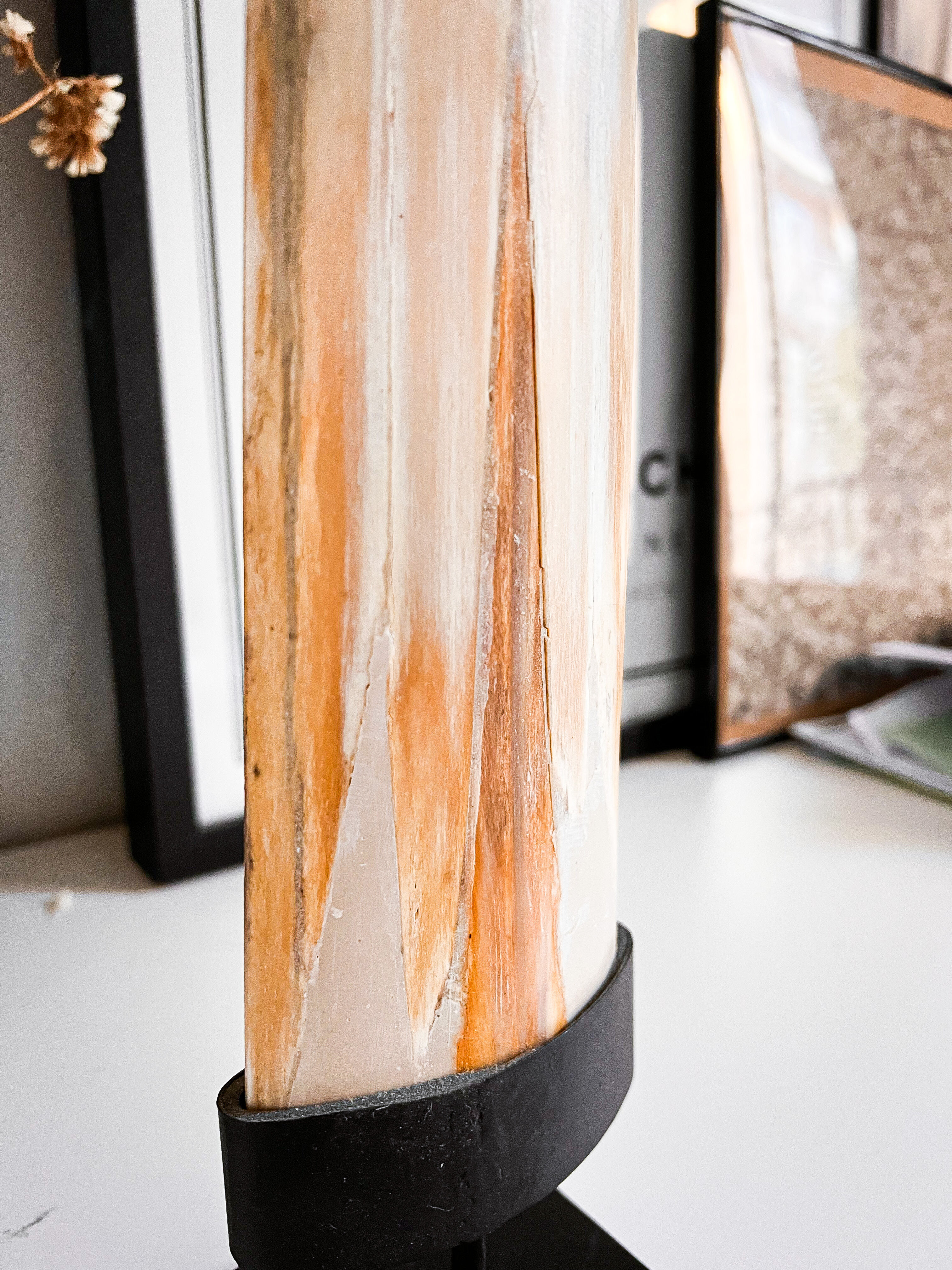 Swordfish tusk on base