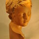 Plaster cherub bust
