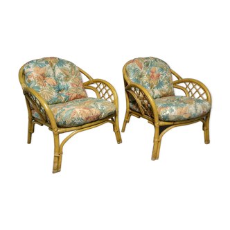 Pair of chairs in tropical tapestry