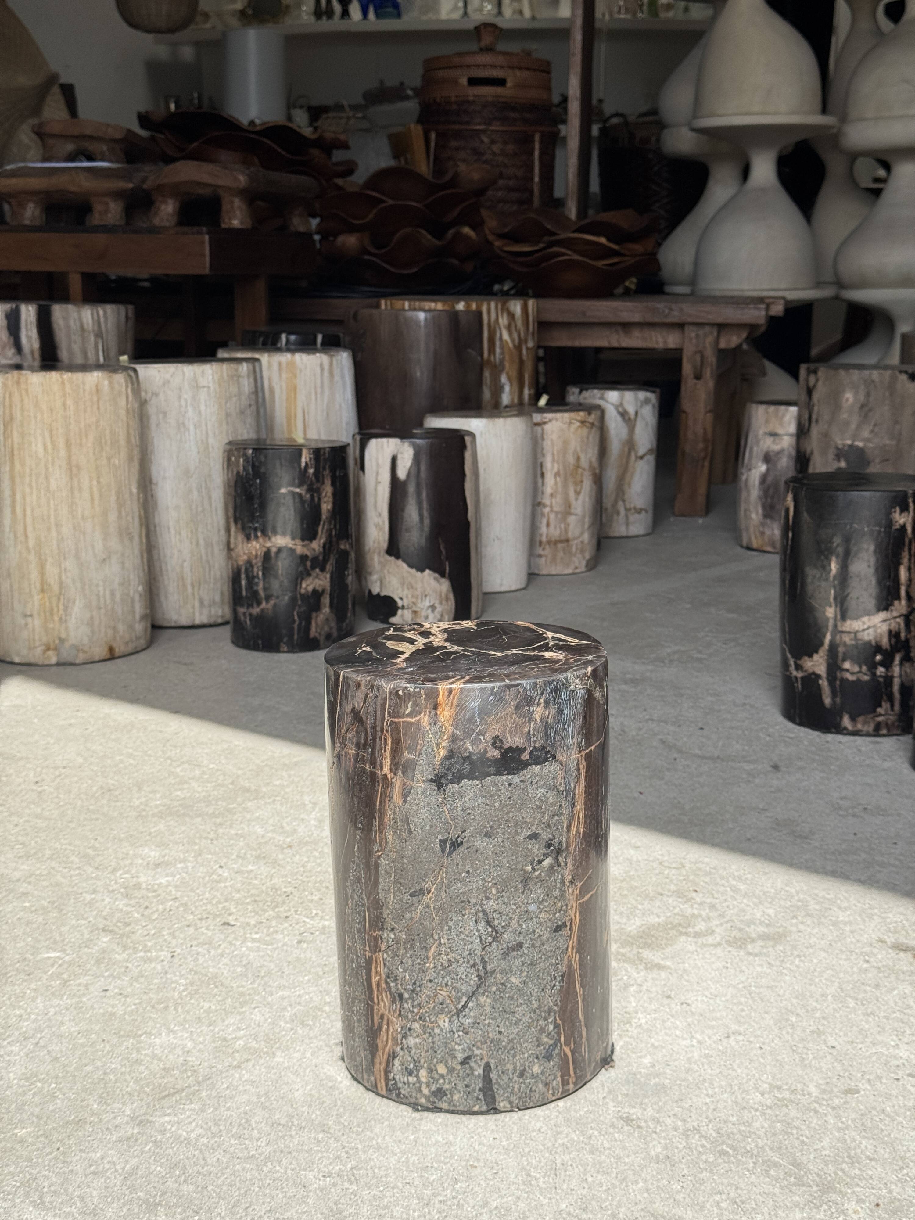 Table d'appoint en bois pétrifié noir