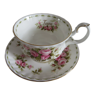 Royal Albert Porcelain Cup and Saucer (June)