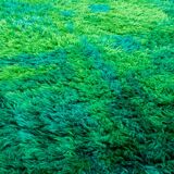 Scandinavian mid-century modern rya rug by Marianne Richter. 200 x 137 cm (79 x 54 in)