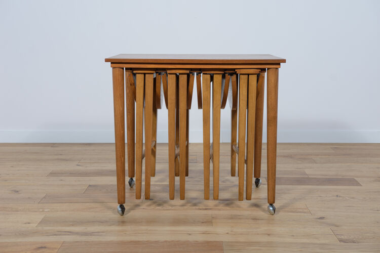 Tables gigognes danoises du milieu du siècle par Poul Hundevad pour Novy Domov, années 1960, ensemble de 5